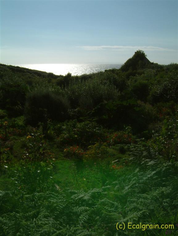 Photo du 30/07/2003 à 18:48:06